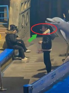 男子海洋馆抽烟挑衅，白鲸精准喷水灭烟全网叫好